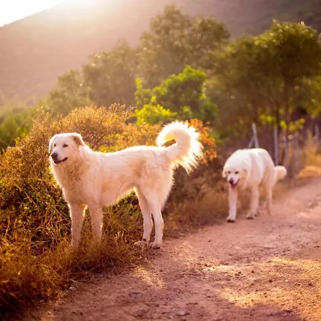 La Minditta Bed & Breakfast 4*