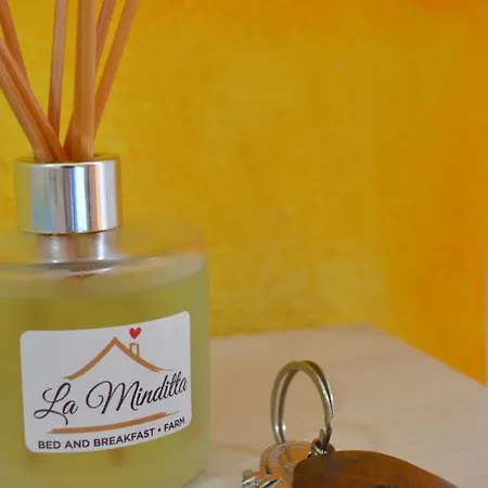 La Minditta فندق مبيت وإفطار سان تيودورو