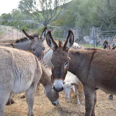 住宿加早餐酒店 La Minditta 4*
