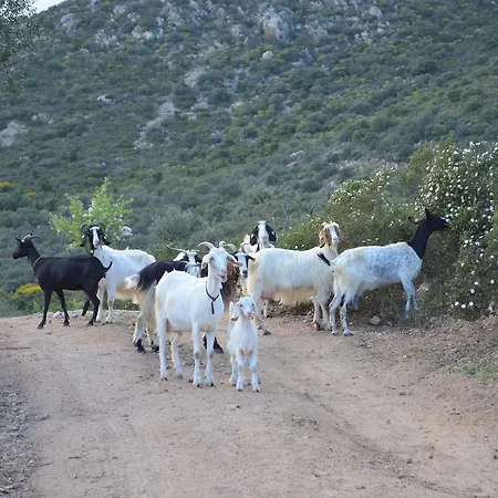 Bed & Breakfast La Minditta 4*