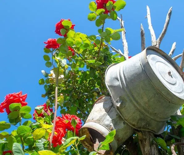 Bed & Breakfast La Minditta