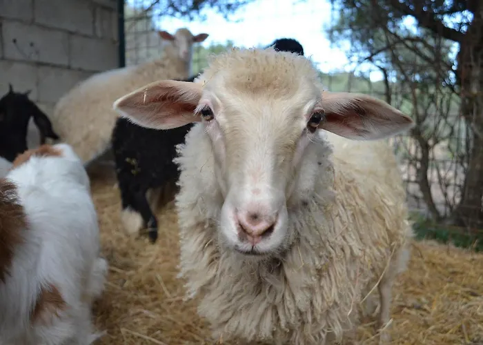 La Minditta 4* San Teodoro (Sardinia)