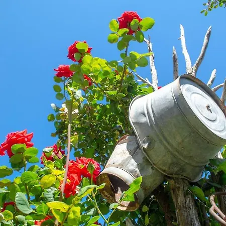 Bed & Breakfast La Minditta