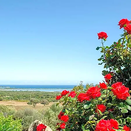 La Minditta San Teodoro