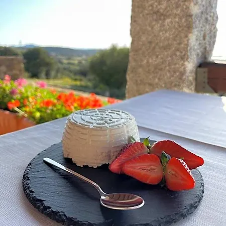 La Minditta Panzió