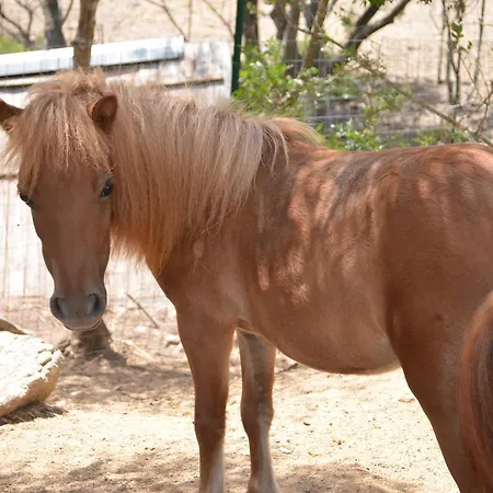 La Minditta 4* San Teodoro (Sardinia)