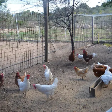 La Minditta Bed & Breakfast 4*